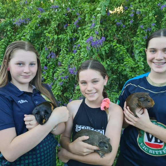 Hey Im Jannadior - Picture 6 of 16